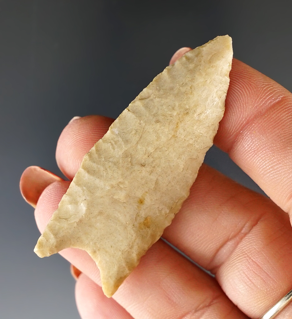 2 3/16" Plainview with nicely ground lower edges found in New Mexico.