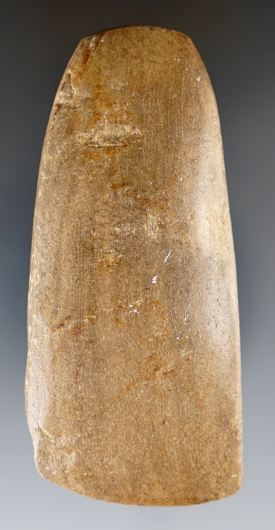 3 5/8" Highly polished Celt found on the Shrock Farm in Holmes Co., Ohio. The bit is sharp