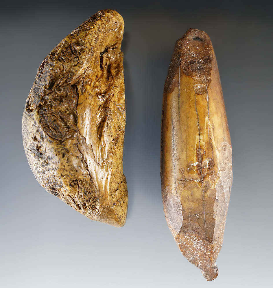 Pair of nice Inuit Line Sinkers found in Alaska. The largest is 4 1/2".