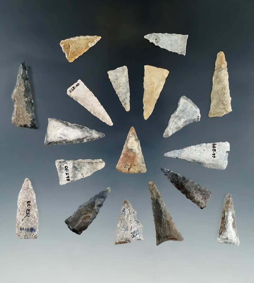 Group of 18 Pedernales points found in Citrus Co., Florida, all around 1 1/8" long