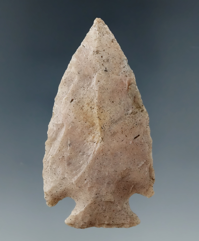 Nicely styled 2 1/4" Lafayette point found in Marion Co., Florida.