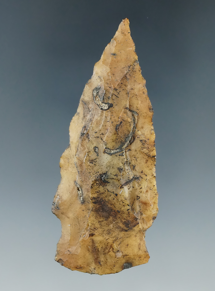 2 1/2" stemmed point found in Union Co., Florida.