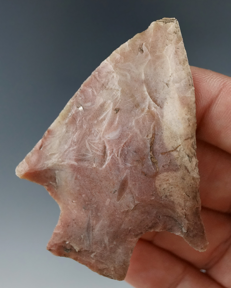 2 1/2" nice wide Levy point found in Marion Co., Florida.