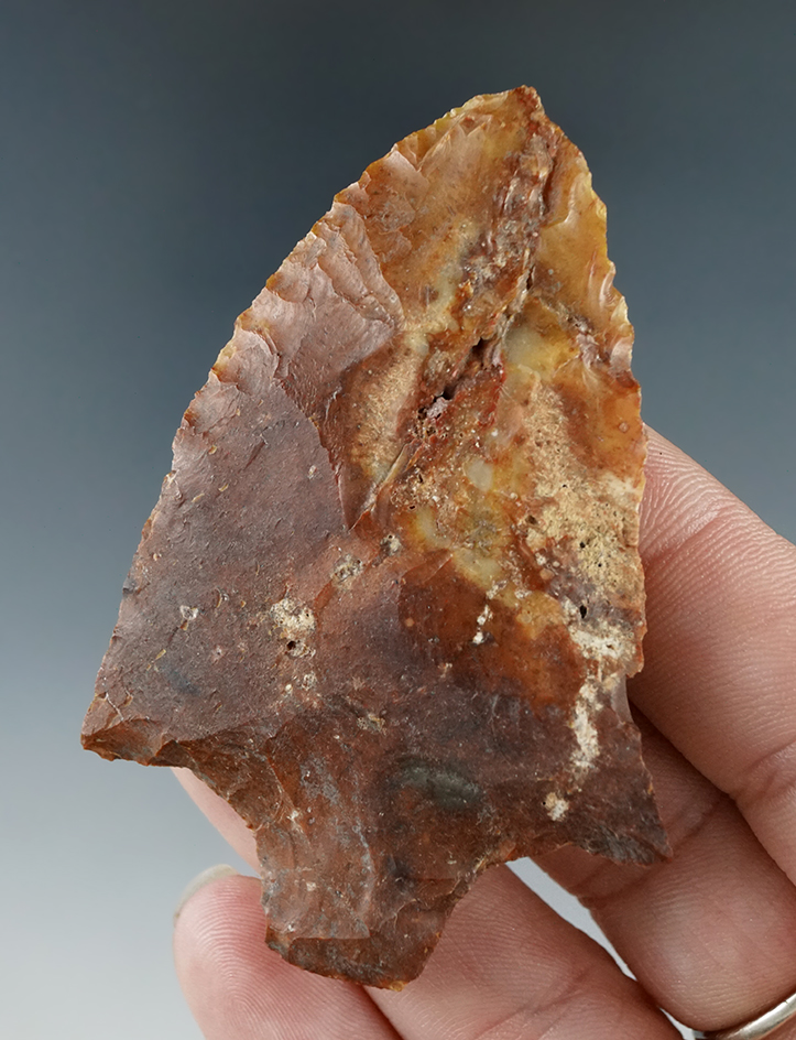 2 3/4" Levy knife found in Alachua Co., Florida.