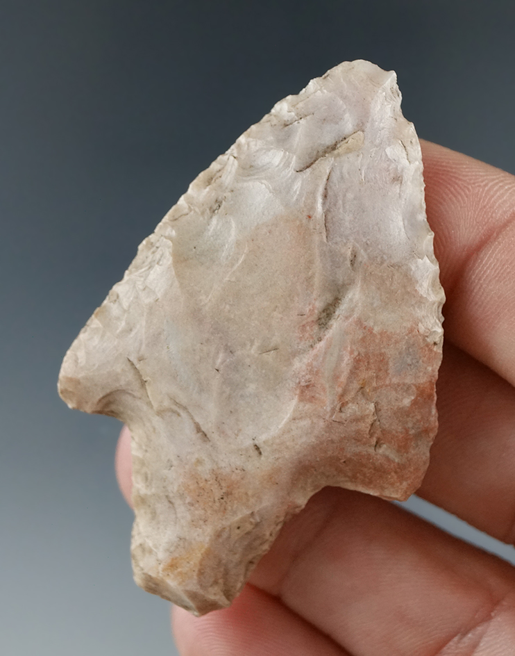 2 3/16" Newnan point made from attractive pink and white material. Found in Marion Co., Florida.