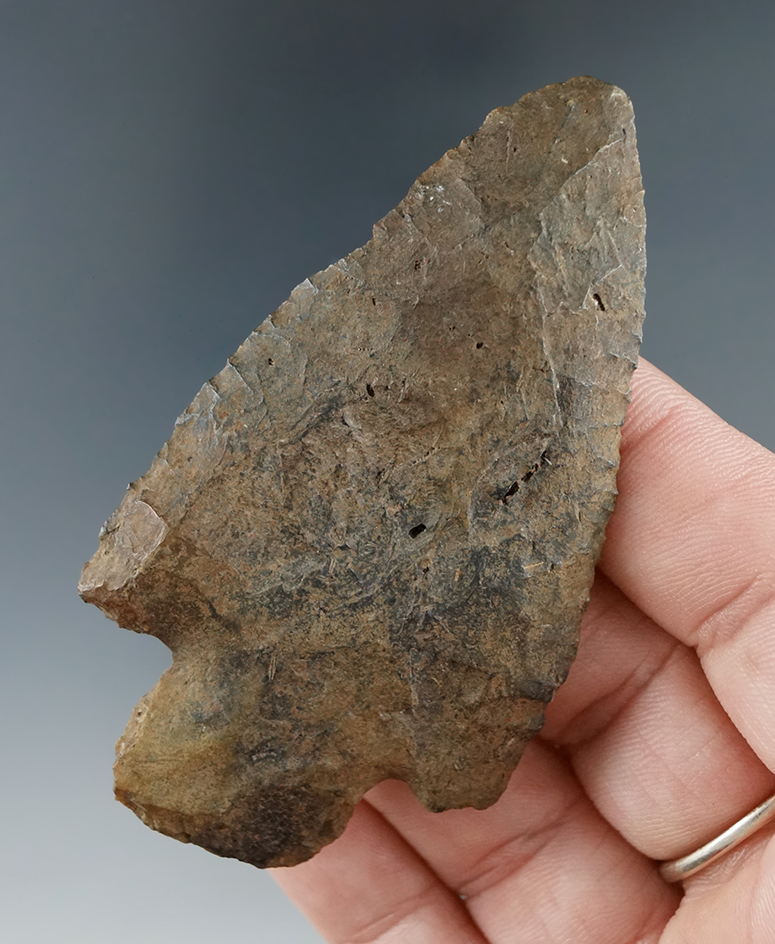 3" archaic Newnan spear found in Alachua Co., Florida.