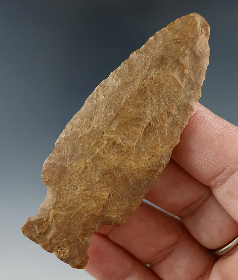 3" Broward found in Hillsboro Co., Florida.