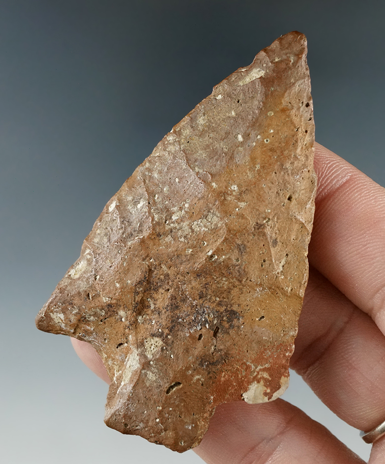 2 13/16" Stemmed Knife found in Putnam Co., Florida.