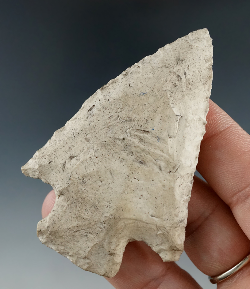 3" Wacissa found in Levy Co., Florida.