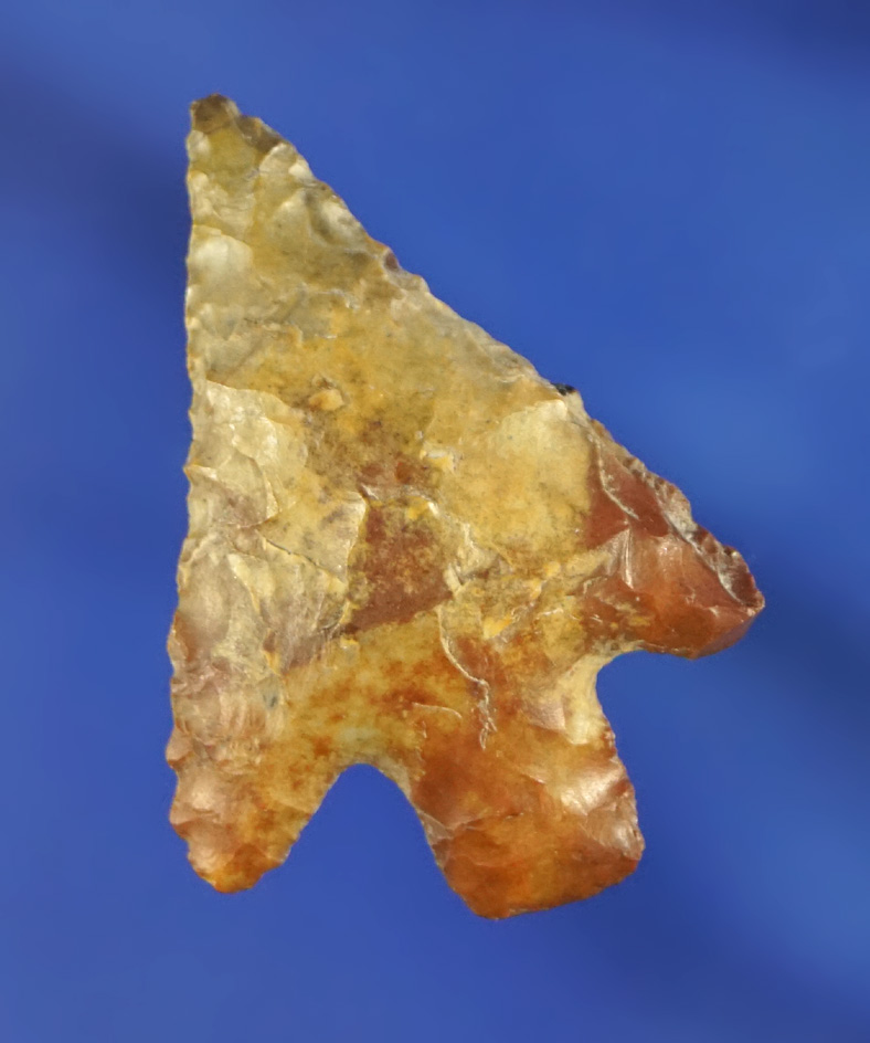 1 3/8" Stemmed Point found in South Dakota.