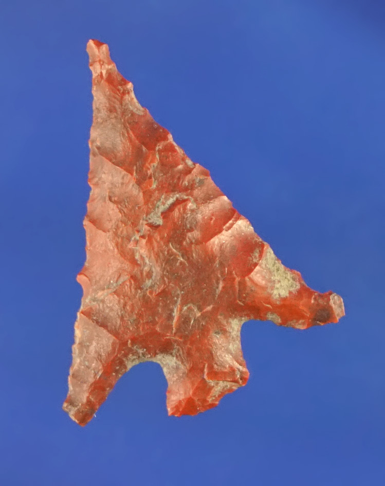 15/16" Columbia Plateau found by Norma Berg near the Columbia River on the Washington side.