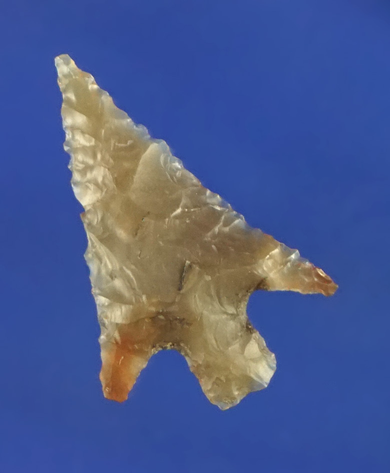 13/16" Columbia Plateau with nice flaking. found by Norma Berg near the Columbia River