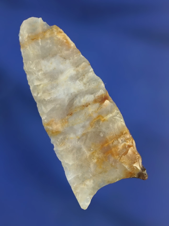 1 11/16" paleo fluted Clovis - nicely translucent multicolored agate found in Colorado.  Davis COA.