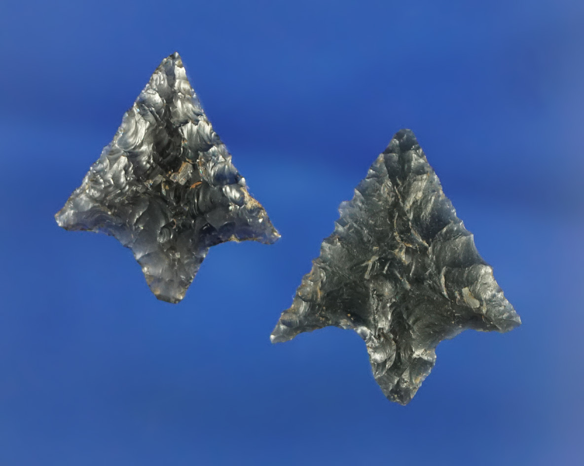 Nice pair of Stemmed Arrowheads found in Shasta Co.,  California, largest is 7/8". Very well flaked.