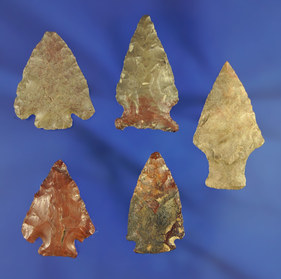 Set of five assorted arrowheads found in South Dakota, largest is 1 9/16".