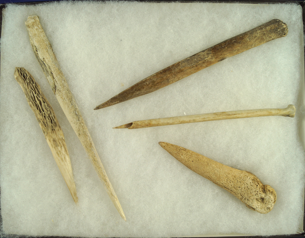 Nice set of five bone awls found near an Arikara village site by the Missouri River in South Dakota.