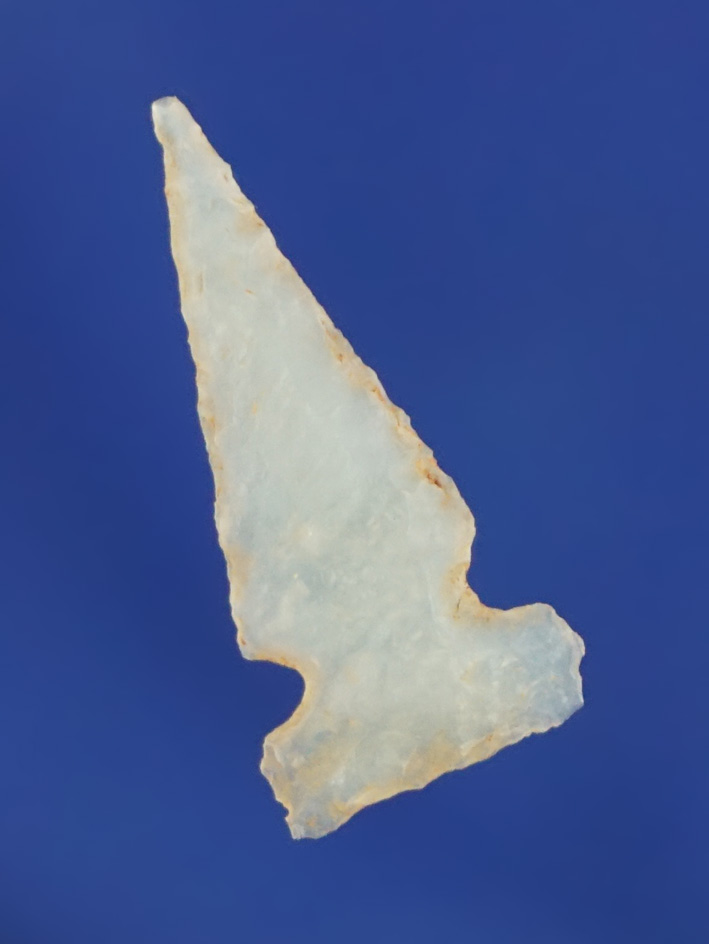 7/8" sidenotch arrowhead that was  screened from a trash pit in Hay Hollow, Arizona by Syl Egan.
