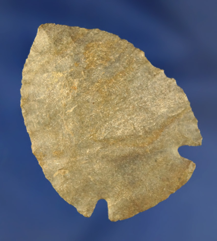 2" uniquely styled Cornernotch found in Kentucky.