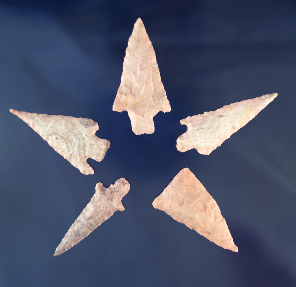 Nice assortment of five Arizona/New Mexico Arrowheads, largest is 2 1/16".