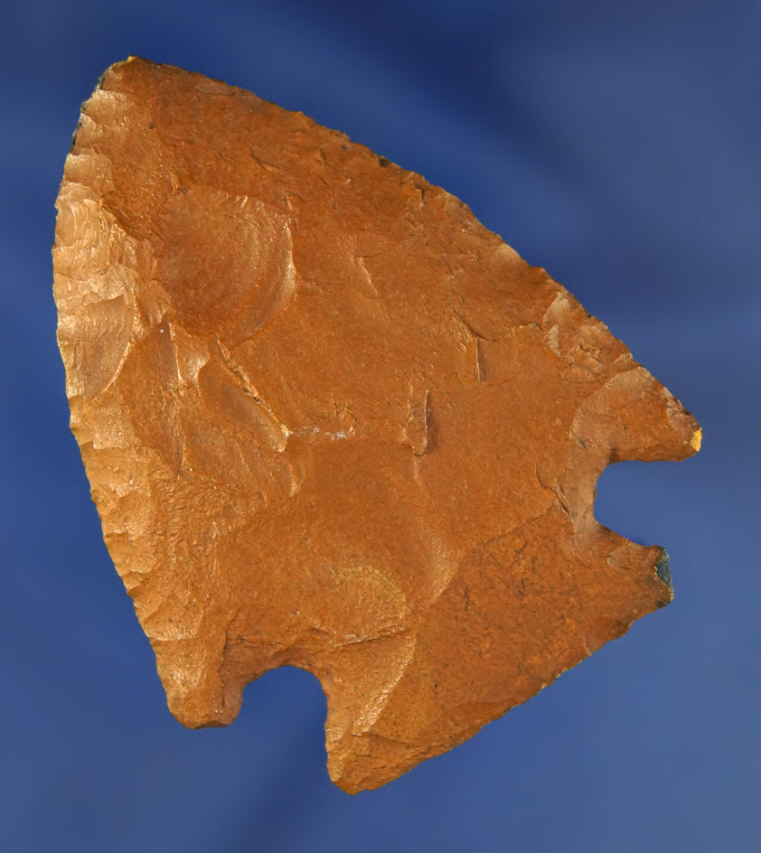 2 1/2" Cornernotch Knife found in Orth Co.,  Georgia. Ex. Anthony Foster collection.