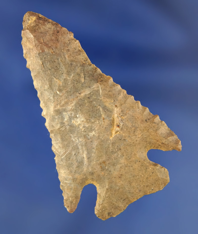 2 3/16" Pinetree found in Kentucky with minor modern retouched to the tip area.