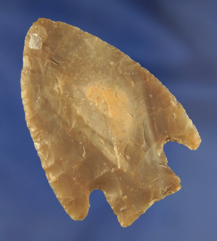 2 5/16" Marshall Point found in Texas.