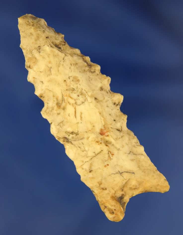 2 3/8" Searcy with nice serrations found in Illinois