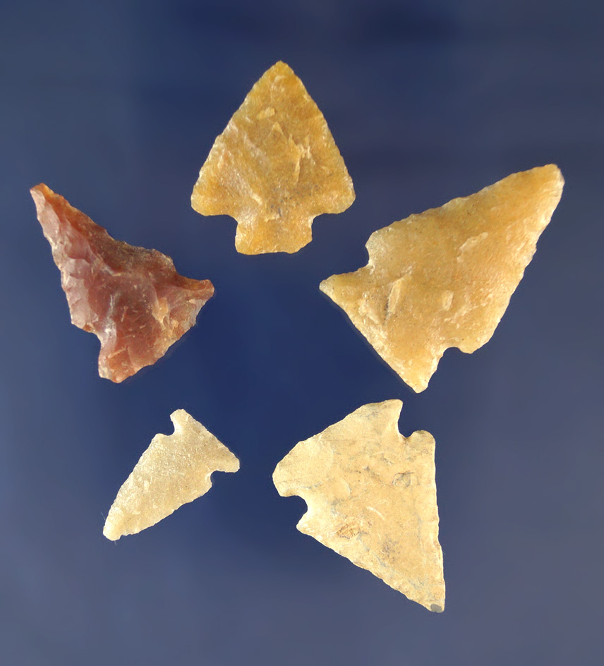 Set of five assorted Arrowheads found near the powder River in Wyoming. Largest is 1 5/16".