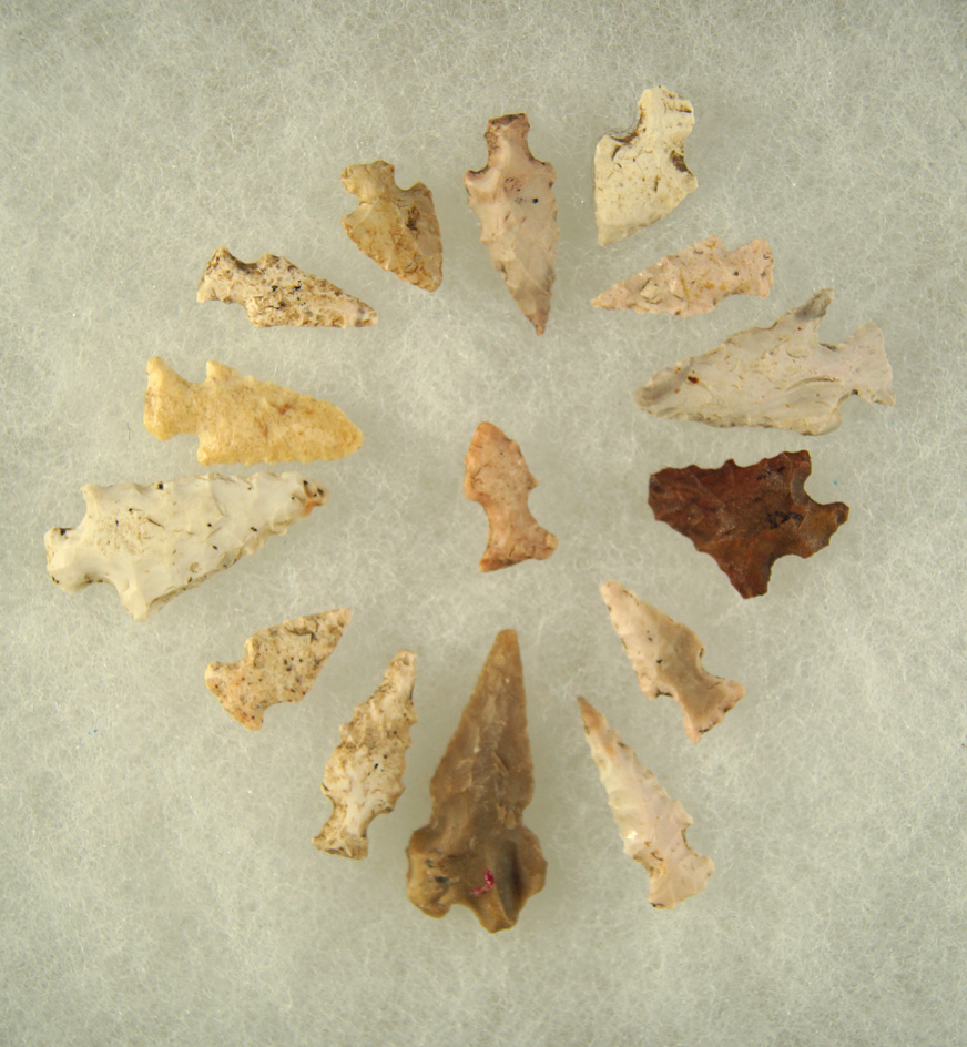 Set of 15 Bird Points, largest is 1 1/8" found in Pettis Co.,  Missouri.