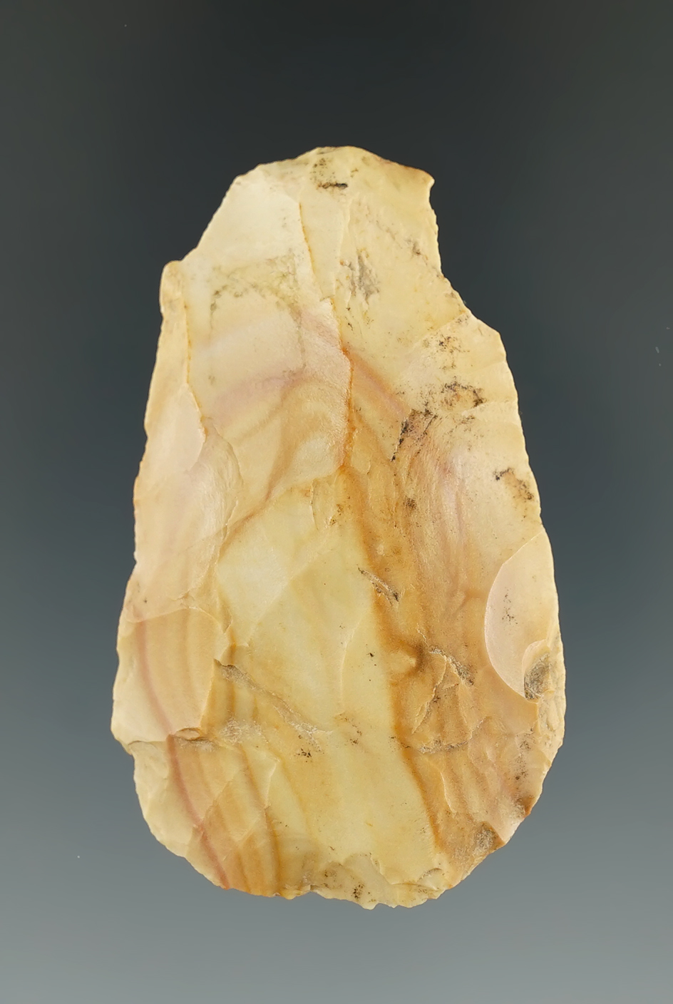 2 1/4" Dalton Adze made from Crowley's Ridge Chert, found in Clay Co., Arkansas. Partain COA.