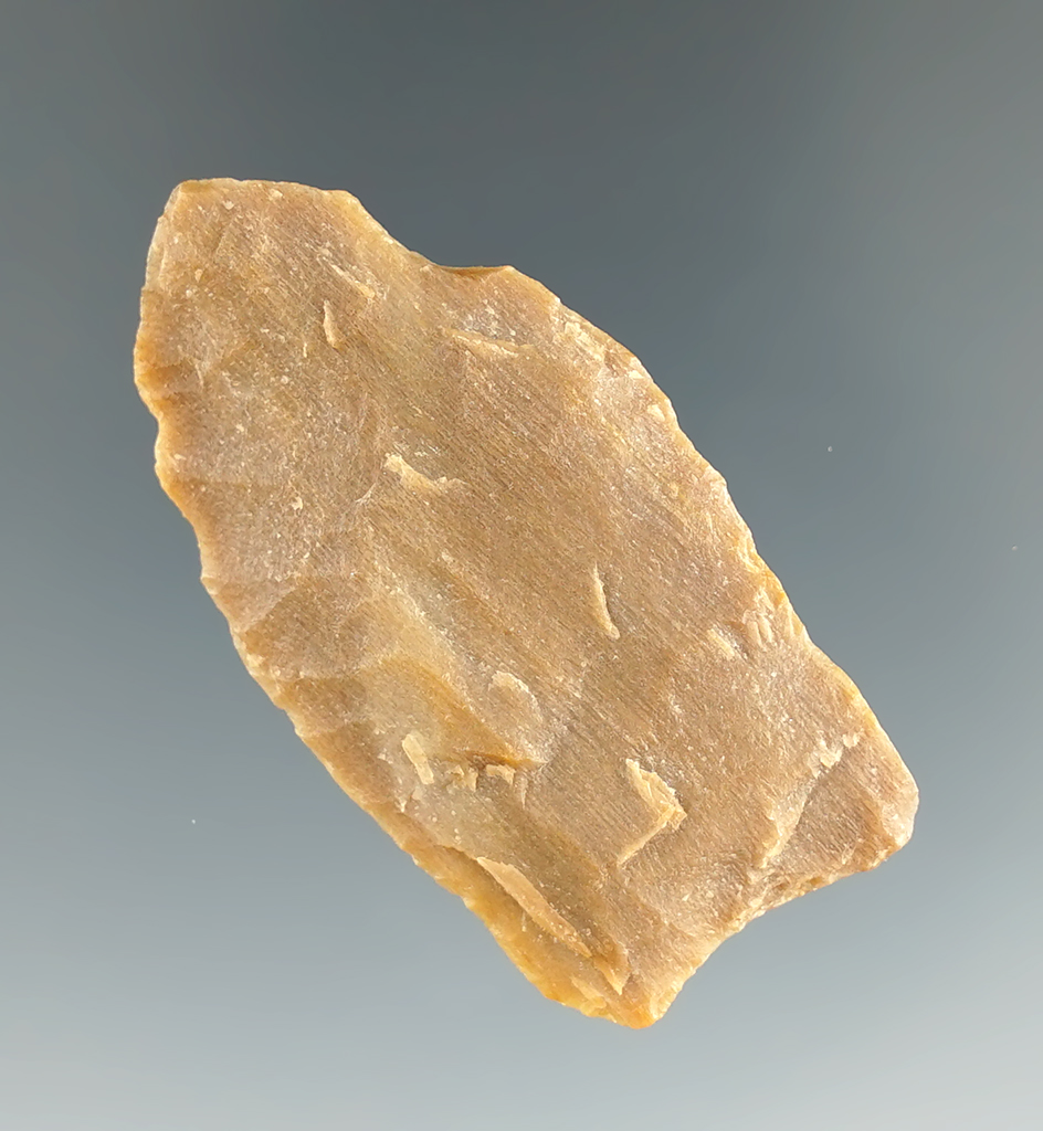 1 7/8" Colorado Paleo Dart made from Petrified Wood. Comes with a Bennett COA.