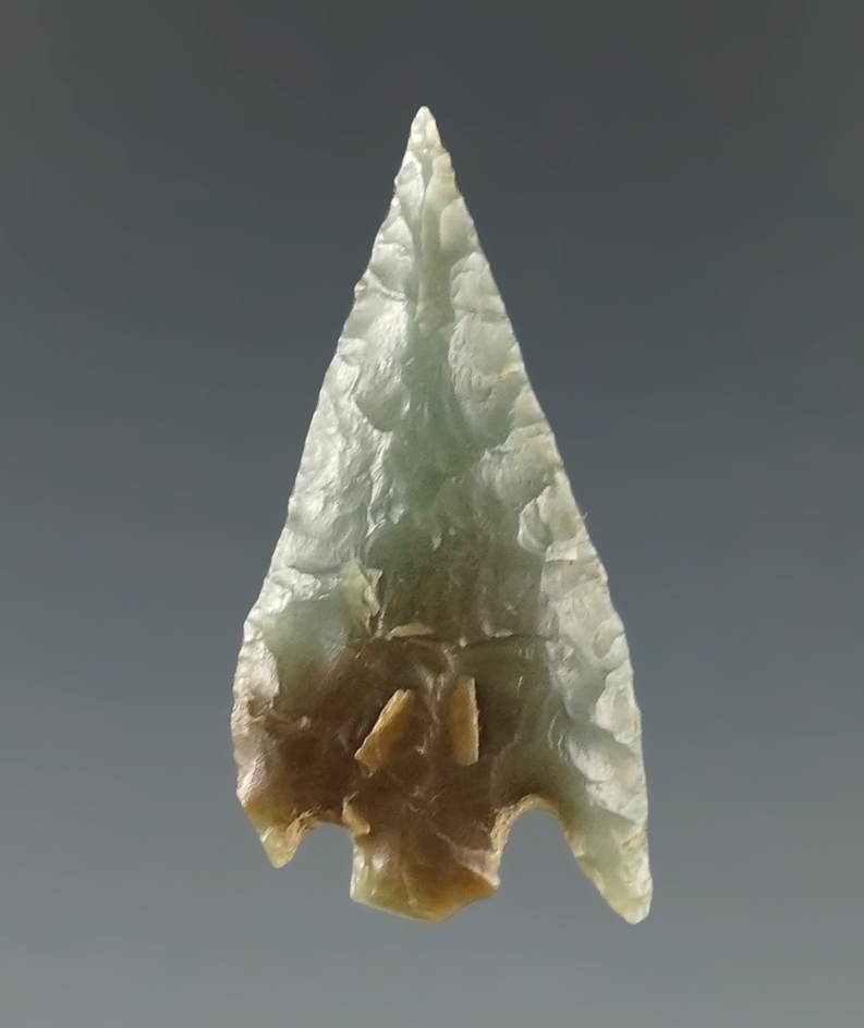 Ex. Museum! 1 1/16" Gunther Barbed that is very well made from Green Franciscan Chert.