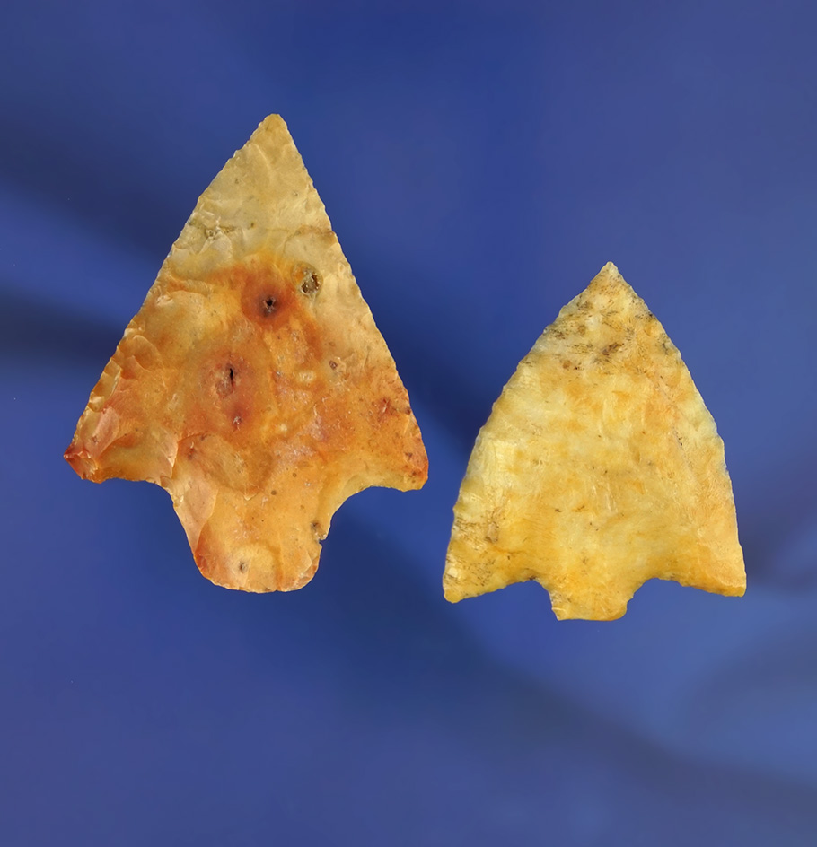 Pair of Florida arrowheads in very nice condition, largest is 2". Ex. Len Weidner collection.