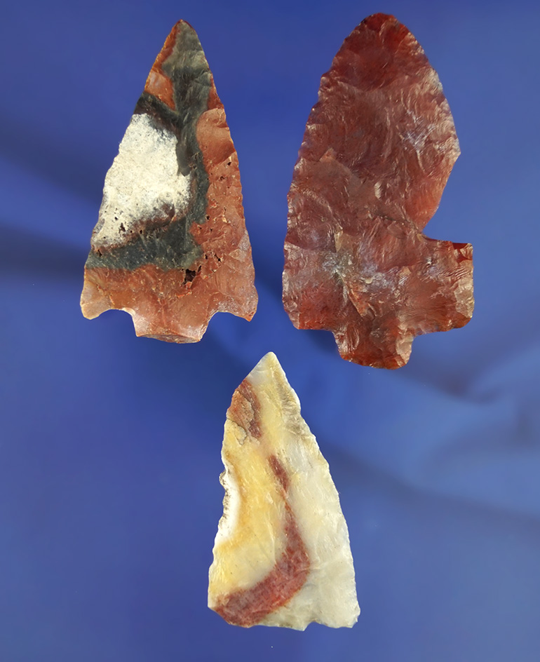 Set of three exceptionally colorful Florida arrowheads, largest is 2 13/16".