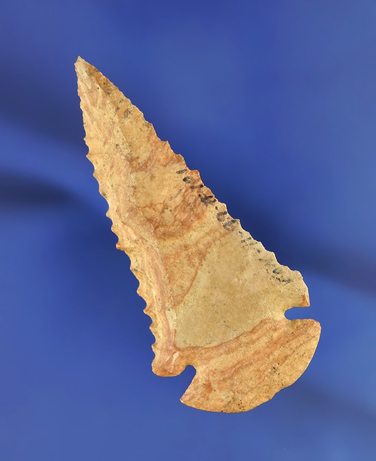 2 3/4" heavily beveled Dovetail made from Buffalo River chert found in Tennessee.