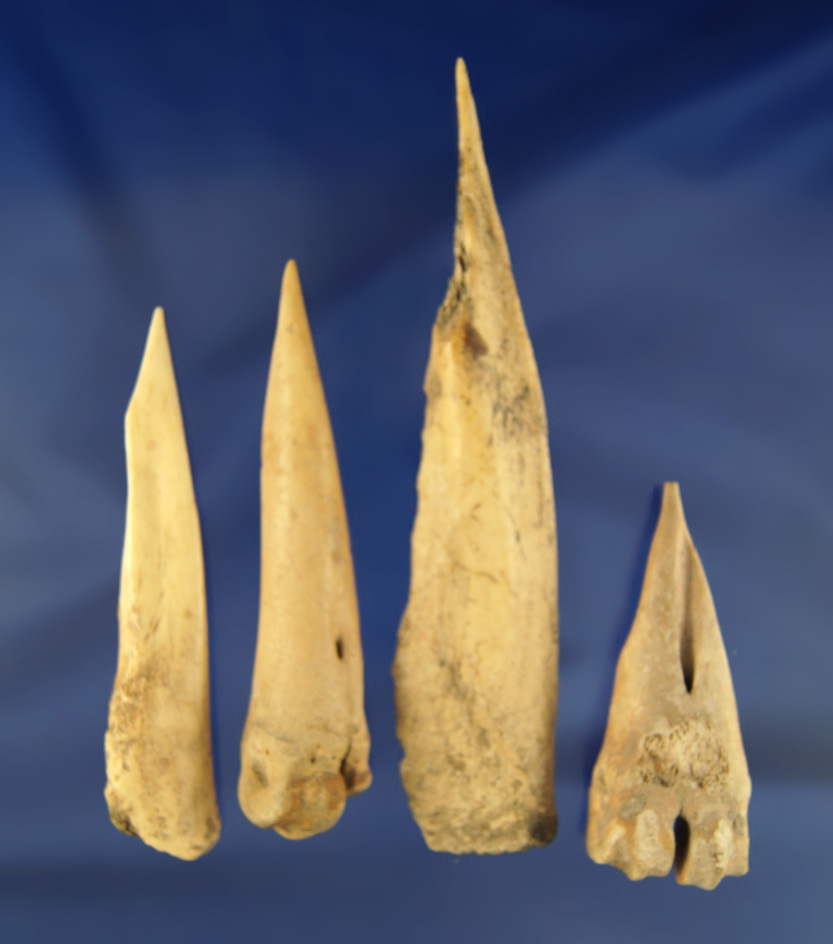 Group of four assorted Bone Awls, largest is 5 9/16" found in Kentucky.