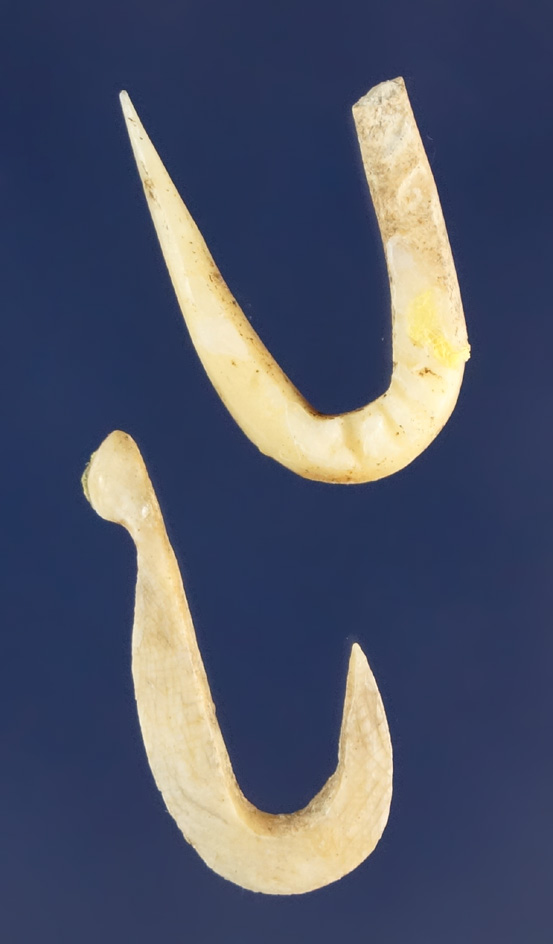 Pair of small bone Fish Hooks found in Arkansas, largest is 3/4".