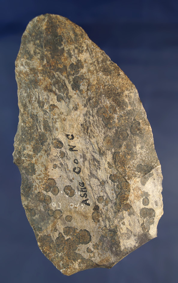 Large 5 3/16" Blade found in Ashe Co., North Carolina that is heavily patinated.