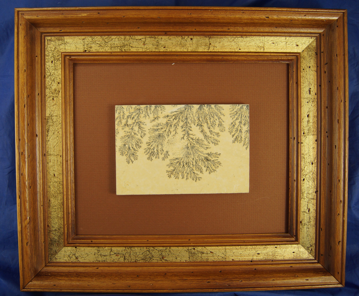 5 13/16" x 3 13/16" nicely cut slab of  Dendrites Solenhofen Limestone. Jurassic Epoch - Bavaria.