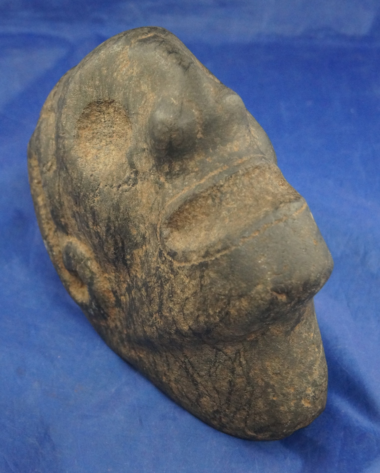 Large and nice 6 1/2" Taino basalt Macorix Head "3 Pointer" found in Hispaniola. Circa AD 1200 – 150