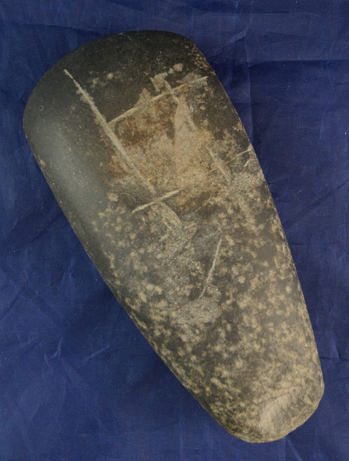 Big 7 3/8" Hardstone Celt found in Jackson Co., Missouri with a nice bit.