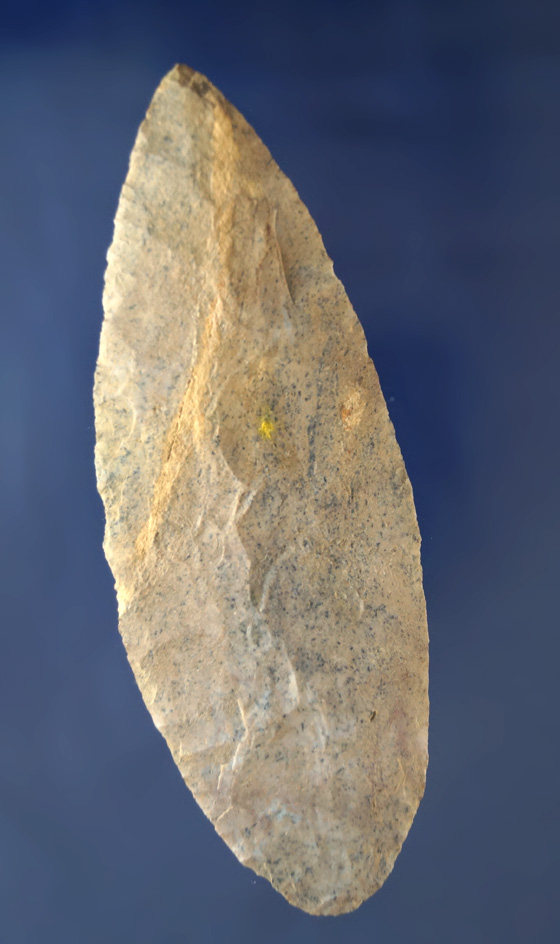 Thin, nicely flaked in well patinated 4 1/4" Blade found in Trigg Co., Kentucky.