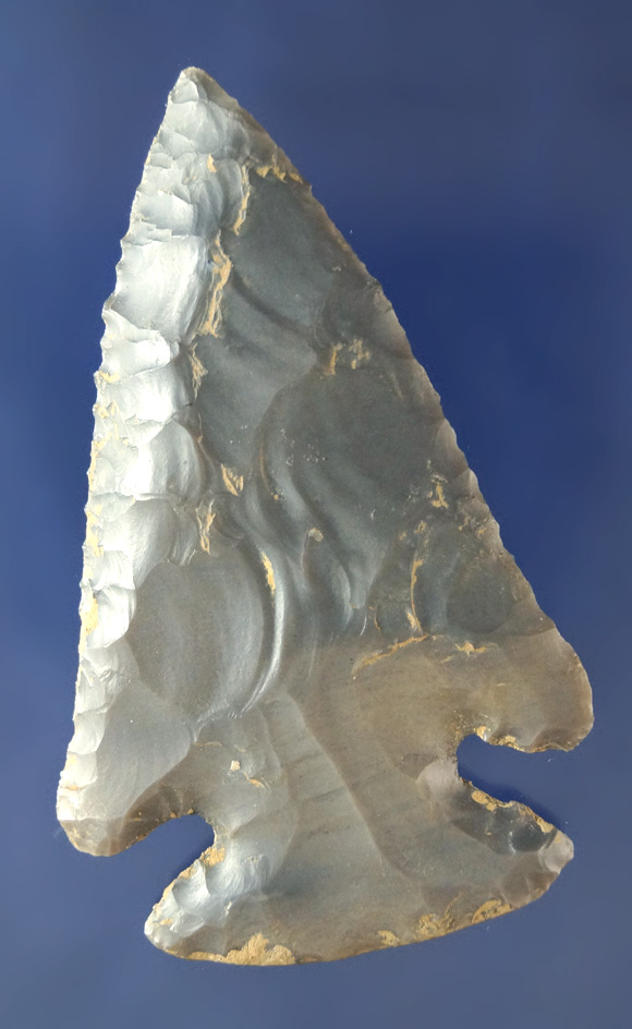 2 5/8" Hornstone beveled Dovetail found in Daviess Co., Kentucky.