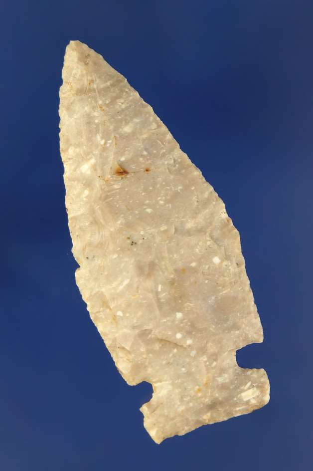 Thin and nice! 1 15/16" Jack's Reef Pentagonal found in southern Indiana.