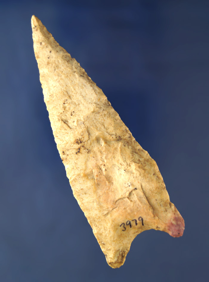 Large, 4 1/8" Dalton that is heavily patinated found in Searcy Co., Arkansas. Ex. Eiserman. Bennett