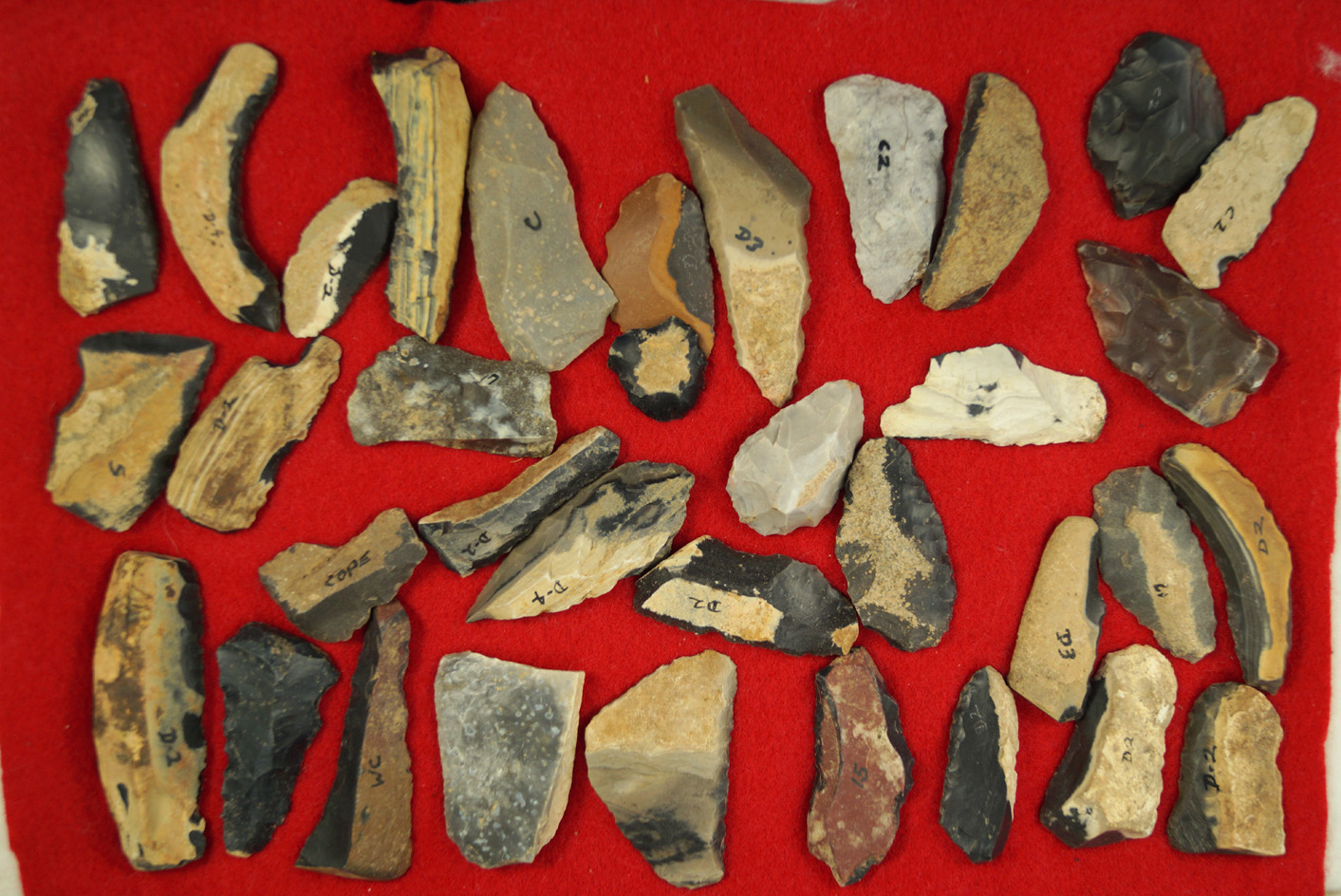 Large group of Uniface flaked Knives from the Carter Cave's area in Kentucky. Largest is 2 5/8".