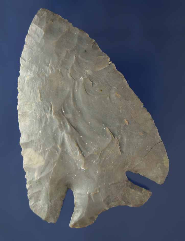 3 1/4" Hornstone Lost Lake found in northern Kentucky with restoration to part of base and one ear.