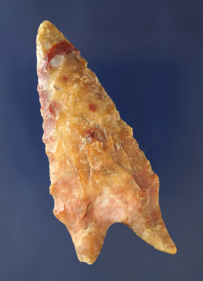 Beautifully colored 2 3/4" Dalton found in southern Missouri.