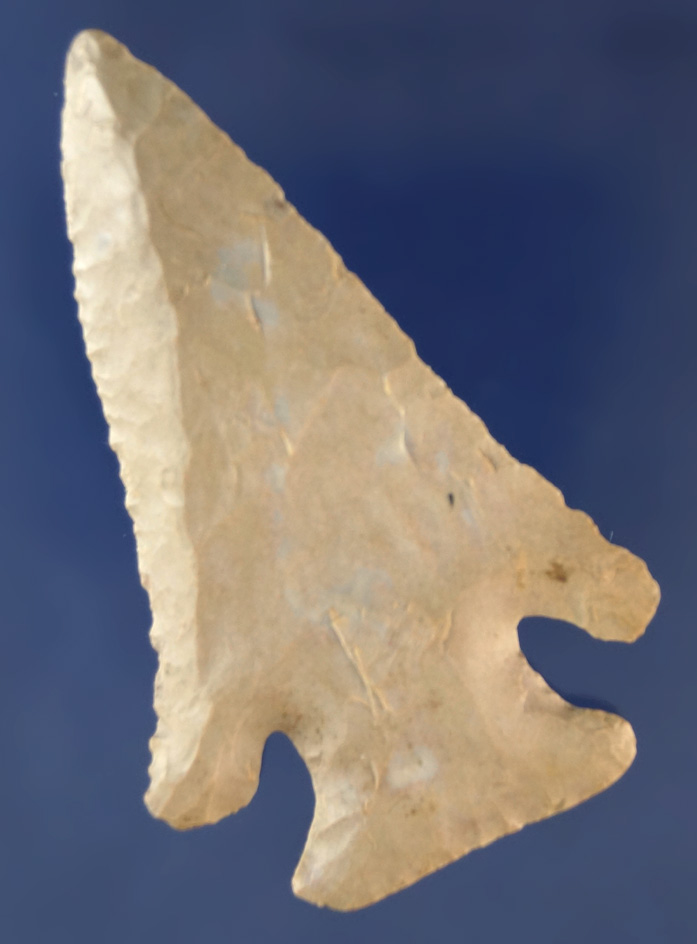 2 3/4" Lost Lake that is nicely beveled found in Kentucky made from Fort Payne chert.