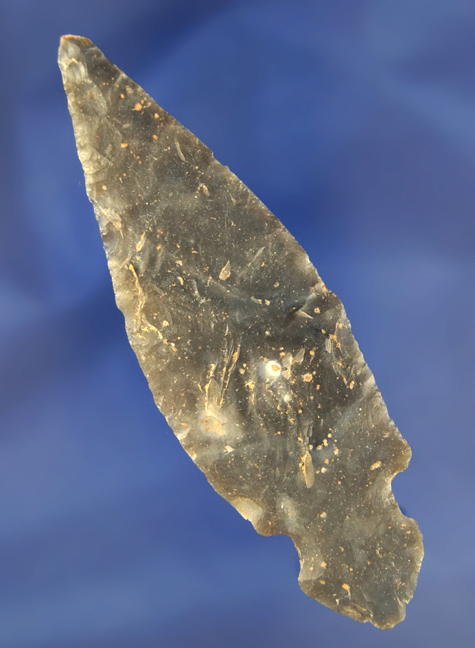 4 1/4" Turkeytail found as part of a large cache in Jefferson Co., Kentucky - Jackson COA.